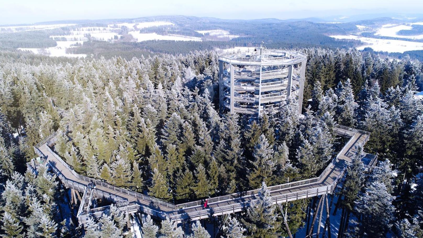 Korzo Lipno C Apartment Lipno nad Vltavou Bagian luar foto